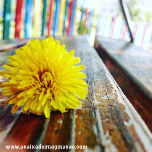 foto amarela claudine bernardes