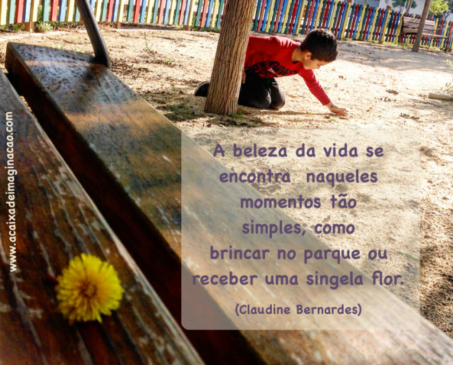 a caixa de imaginação