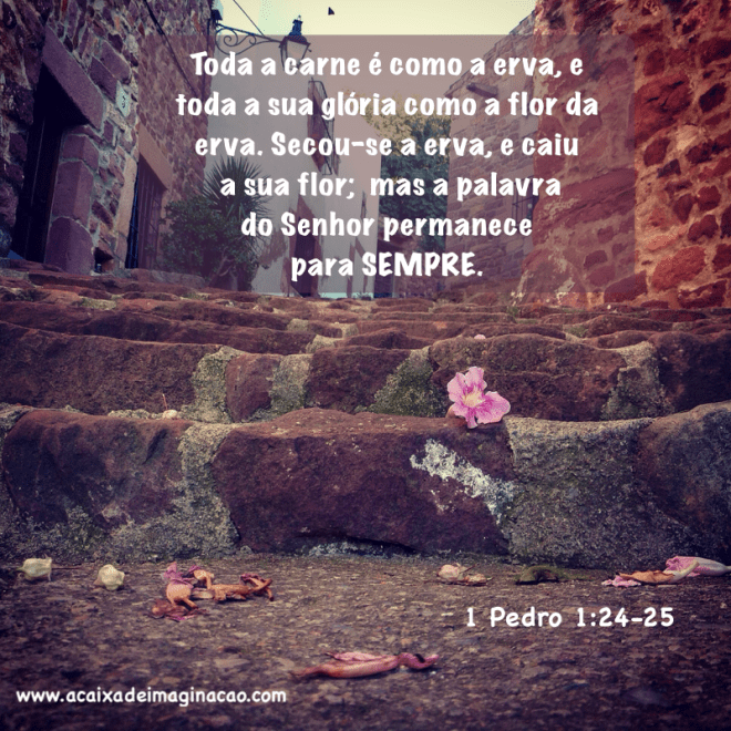 a caixa de imaginação