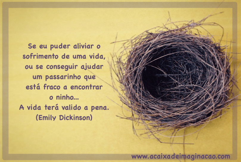 Emily Dickenson a Caixa de Imaginação